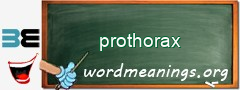 WordMeaning blackboard for prothorax